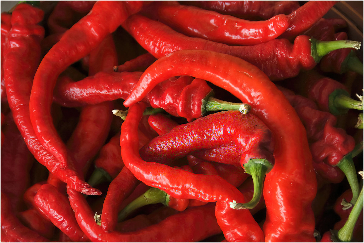 Gheno Rich Hot Stuff AssignedSubject   Still Life 202603251
